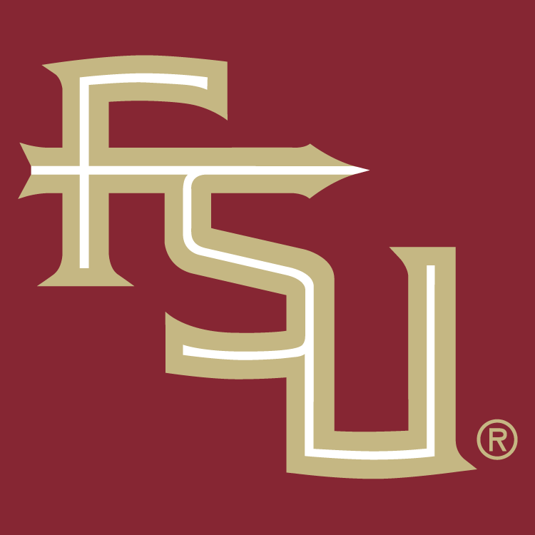 Florida State Seminoles 2014-Pres Alternate Logo v5 DIY iron on transfer (heat transfer)